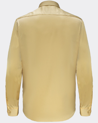 Regal Symphony CHAMPAGNE