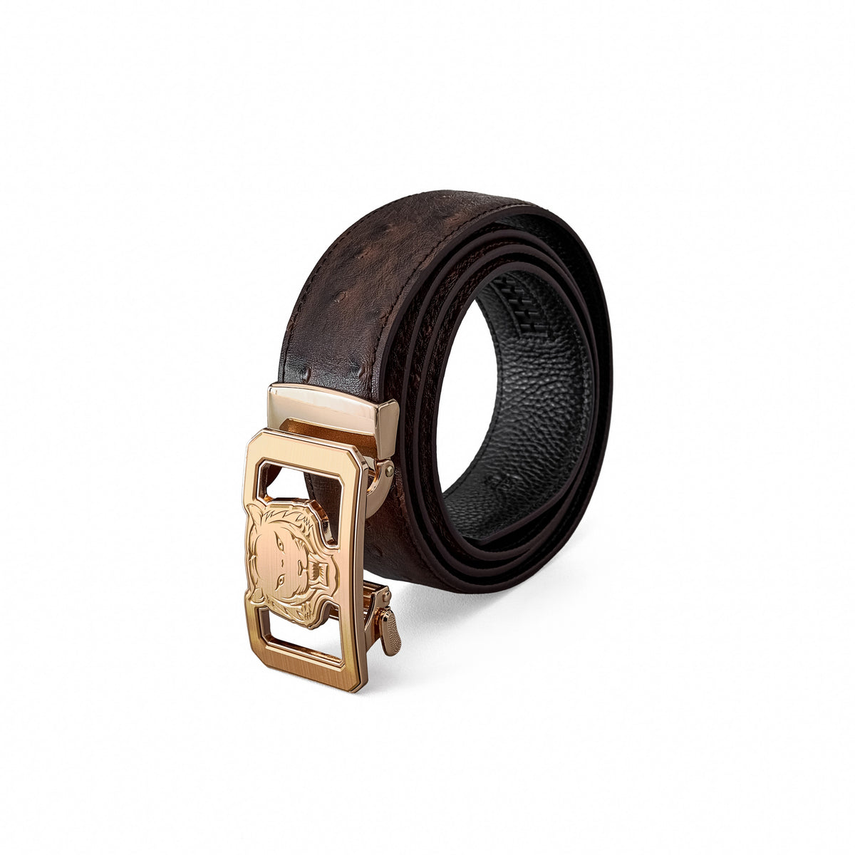 BLT039 - Ostrich-Emb. Leather Lion Auto BKL Belt – Gold Ed.-GOLD/COFFEE – BAROCCO wholesale belts